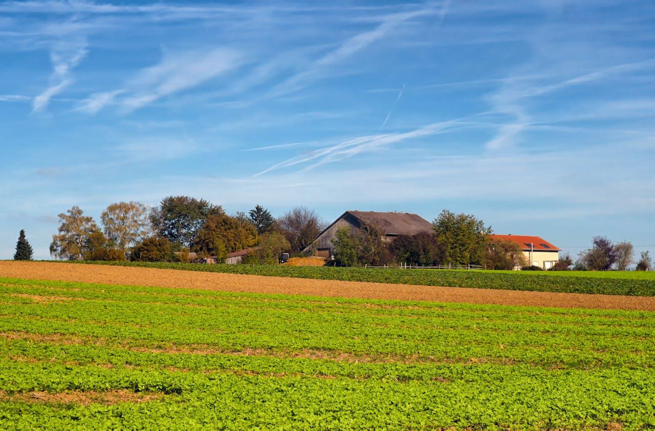 Ferme avec de vastes champs verdoyants.
