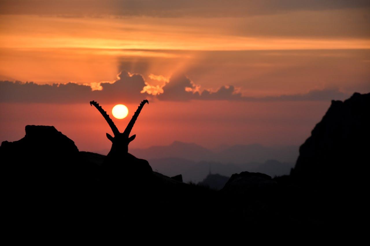 Capricorno prima del tramonto.