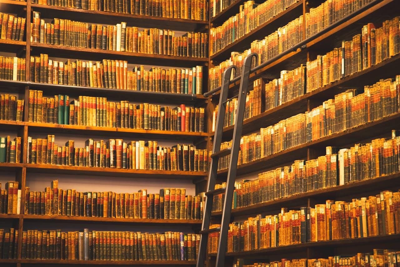 Antica biblioteca con scala in legno.