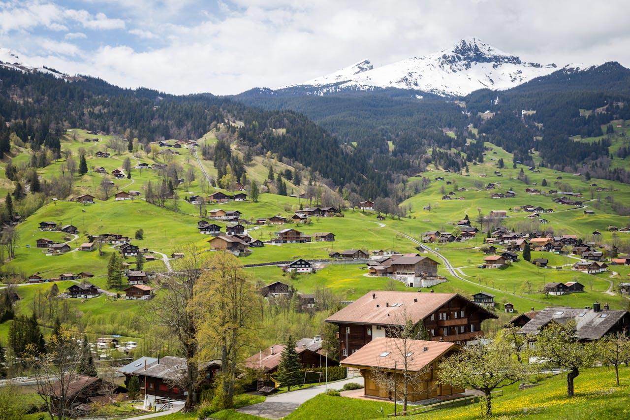 Alpine landscape with historic farmhouses.