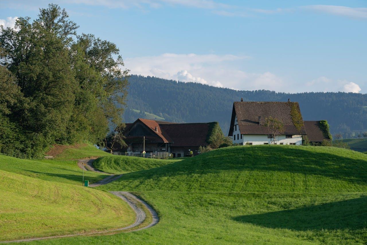 Paysage avec fermes et prairies.