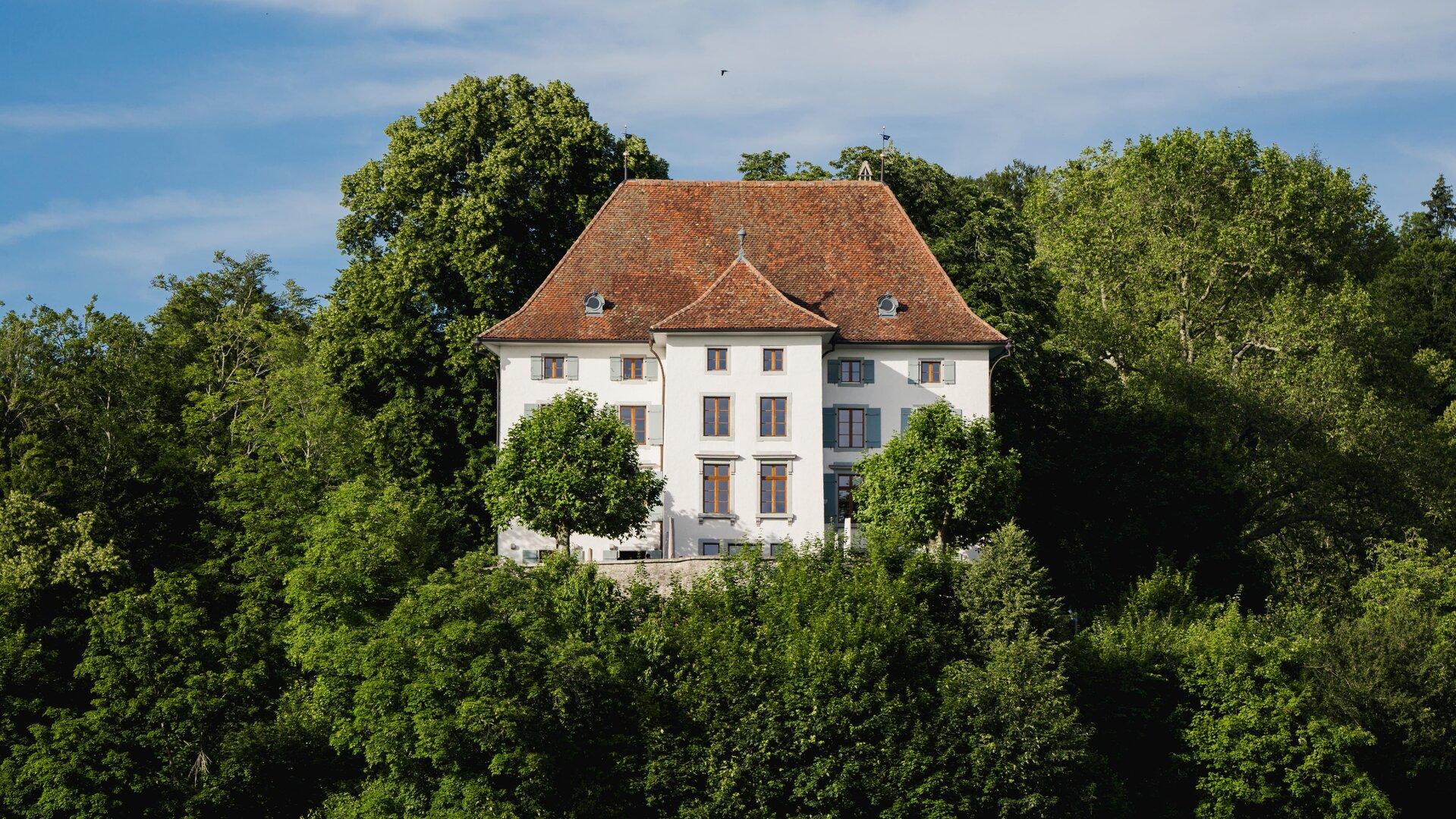 Castello ai margini di una foresta e della storia.