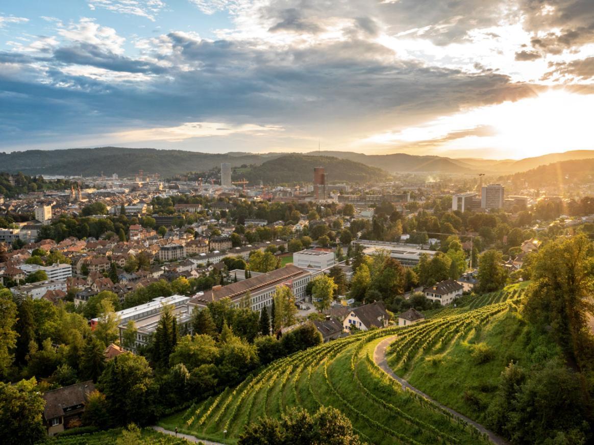 Evening atmosphere over Winterthur with vineyard.