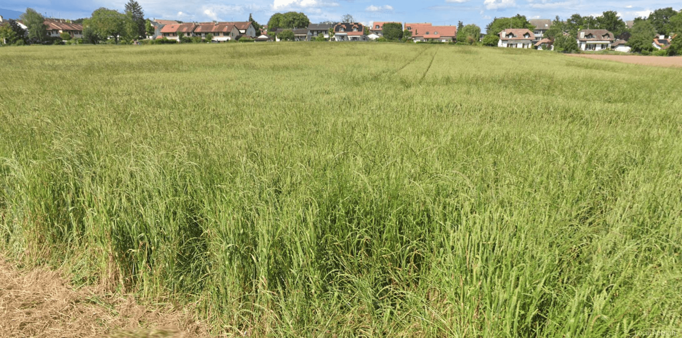 Property Outside Image