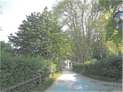 Property Inside Image perspectiv 3