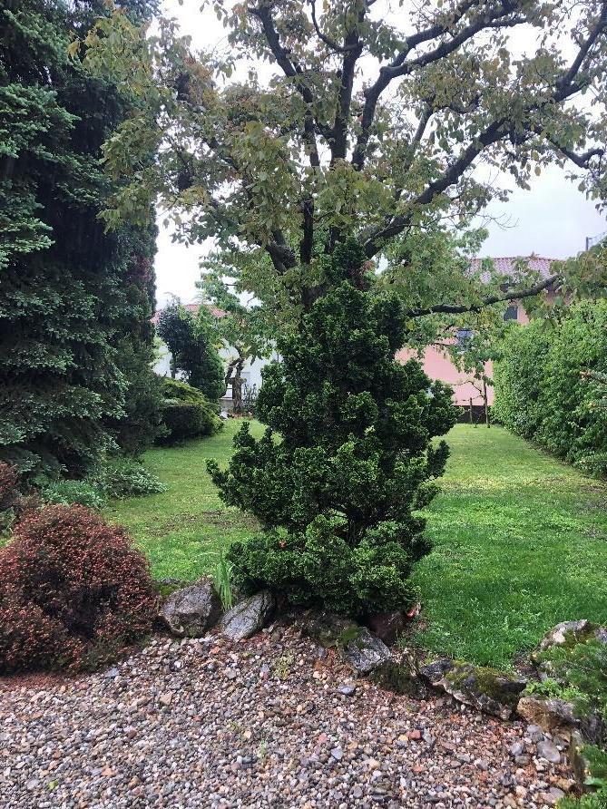 Property Inside Image perspectiv 1