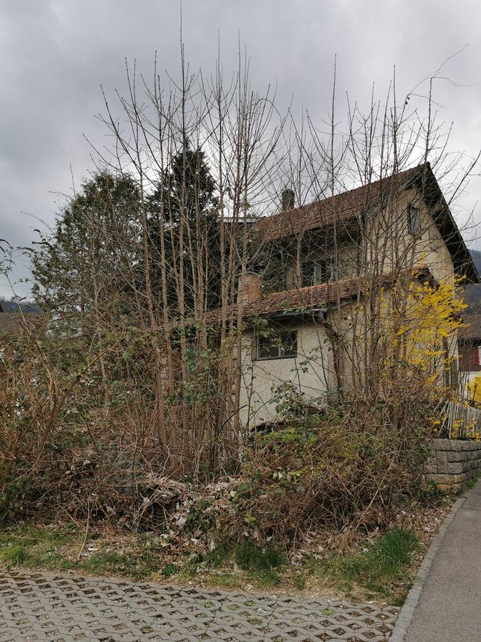 Property Inside Image perspectiv 3
