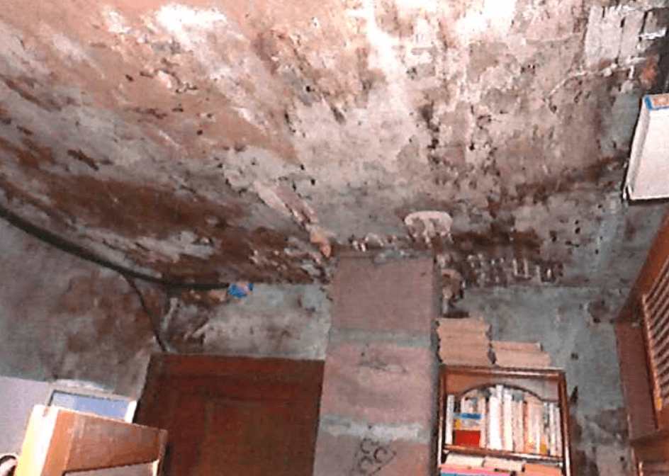 Property Inside Image perspectiv 4