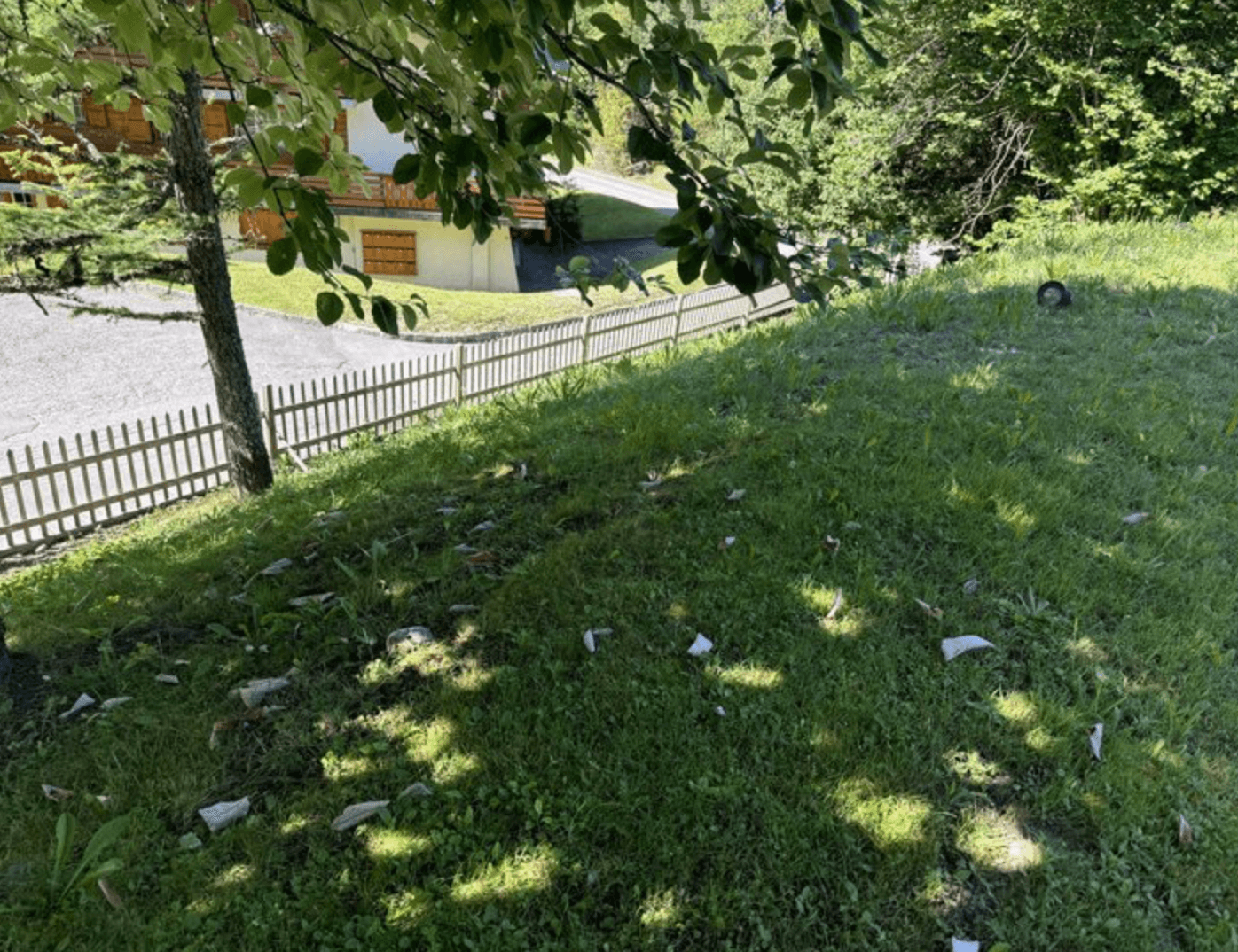 Property Inside Image perspectiv 3