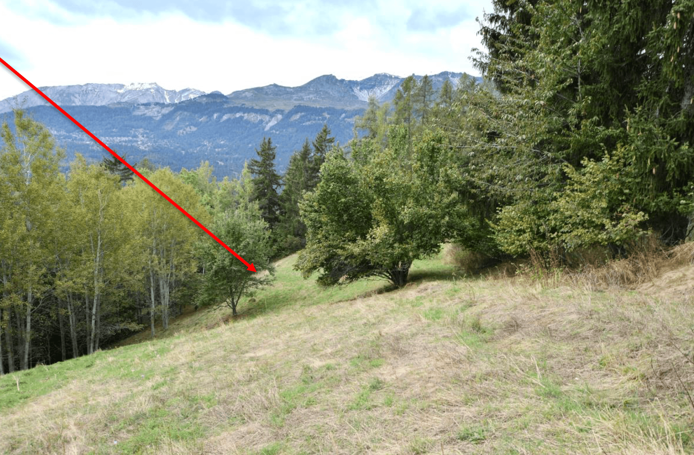Property Inside Image perspectiv 2