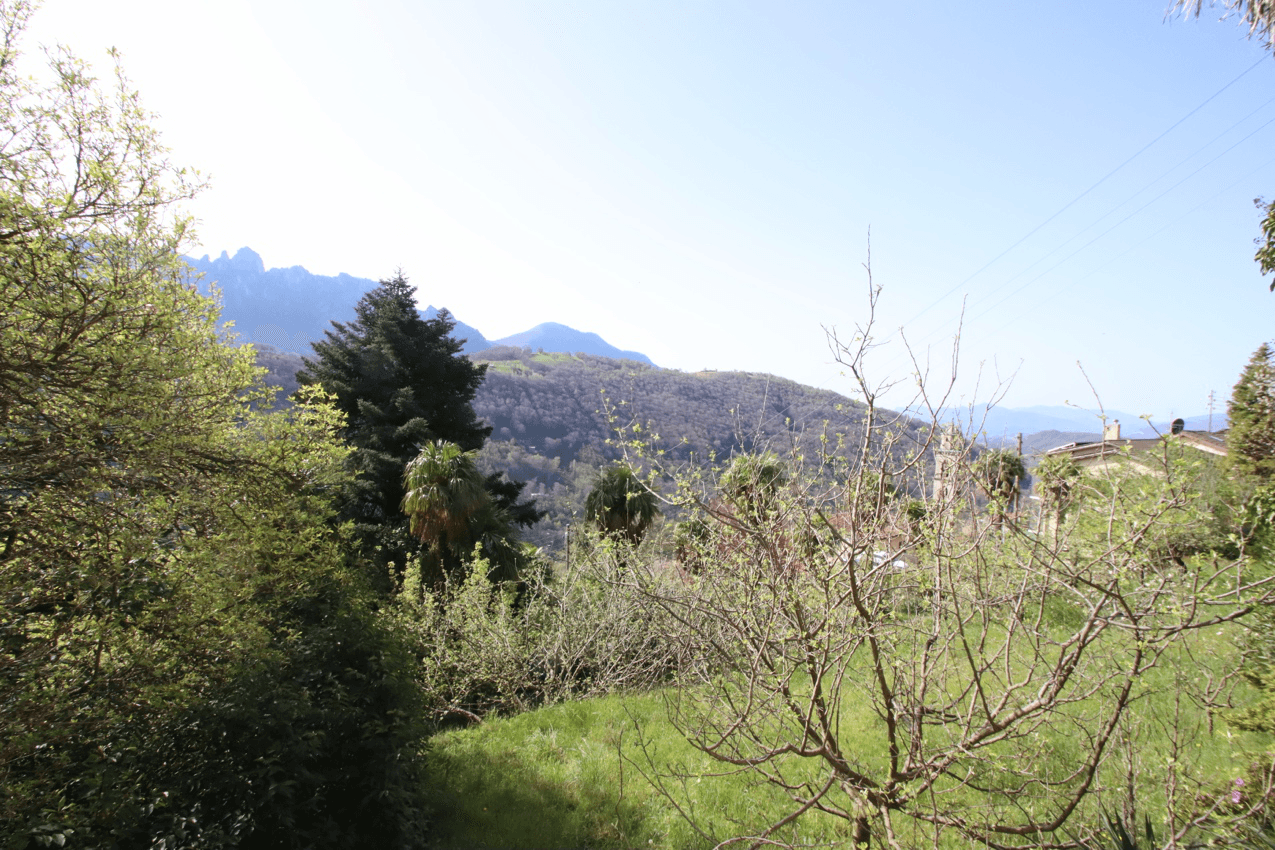 Property Inside Image perspectiv 3