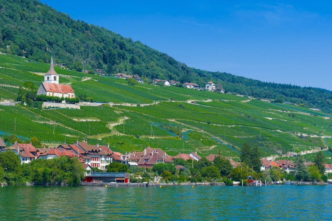 Vignobles, église, paysage idyllique.